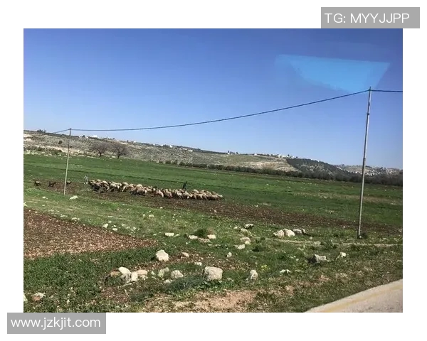 探索阿拉巴的独特魅力与文化遗产，揭开这片土地的神秘面纱